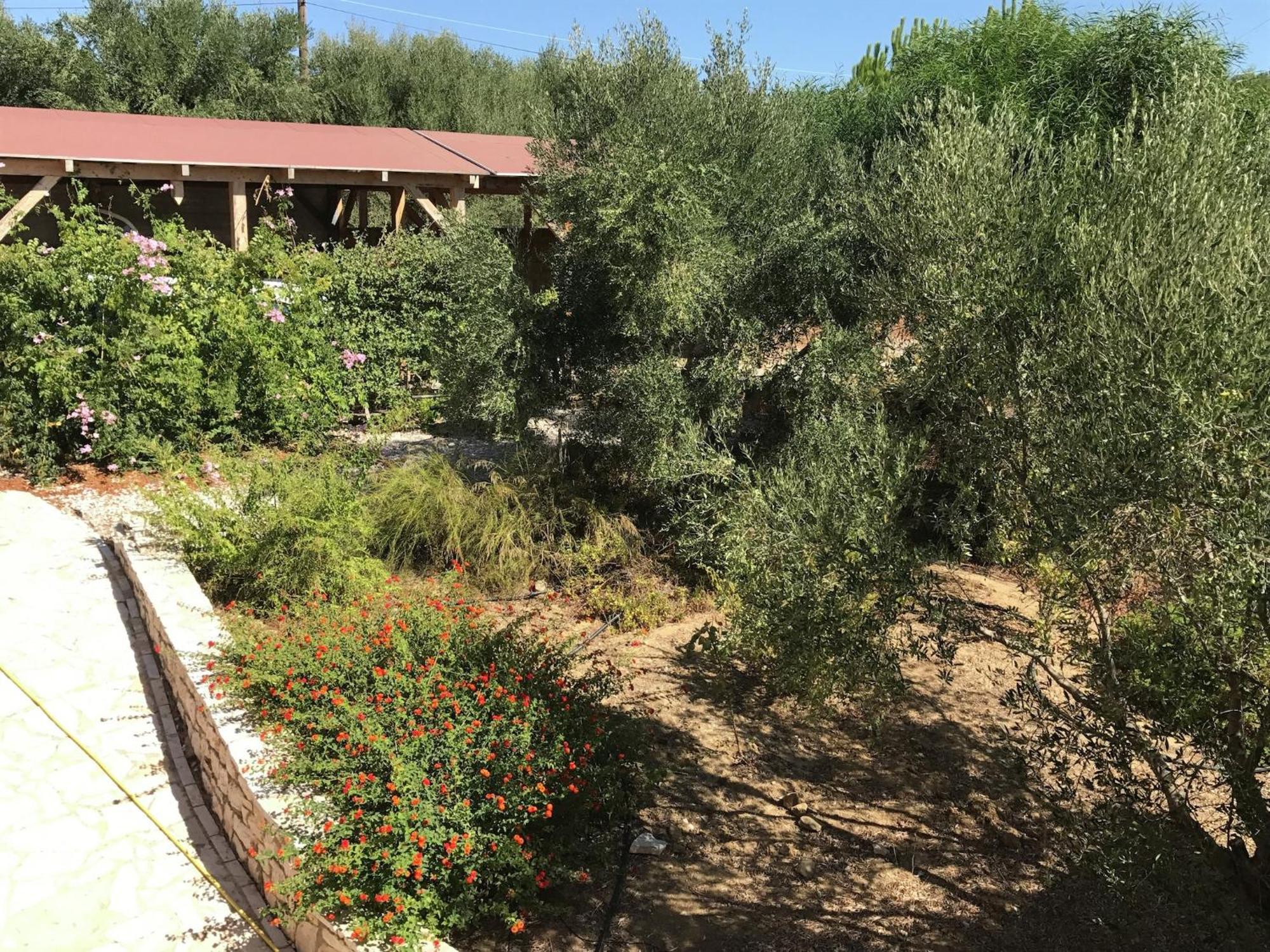 Luxurious Villa In Peloponnese With Swimming Pool Kamária Eksteriør bilde